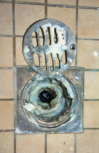 https://blockeddrainssevillegrove.com.au/uploads/2025/07/blocked-shower-drains-86331.jpg