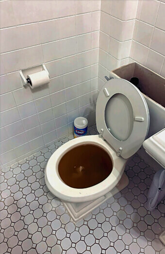 https://blockeddrainssevillegrove.com.au/uploads/2025/07/blocked-toilet-99184.jpg