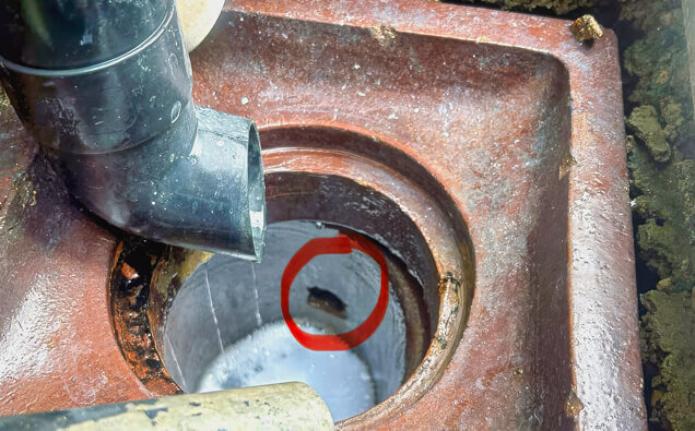 https://blockeddrainssevillegrove.com.au/uploads/2025/07/hero-blocked-sewers-17074.jpg
